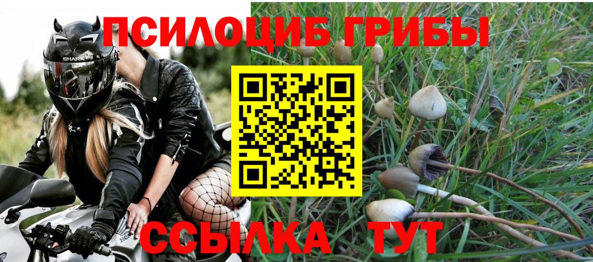 Псилоцибиновые грибы прущие грибы Муром