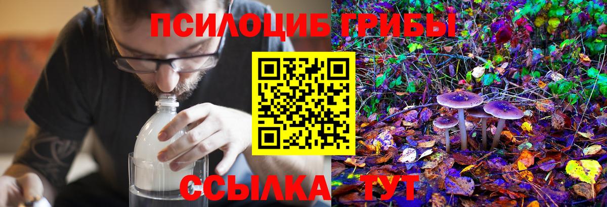 Муром  Галлюциногенные грибы ЛСД  как найти закладки  Вход с VPN 