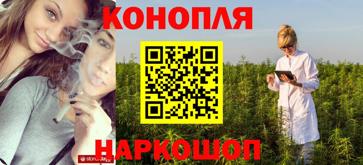 ГАШ Муром